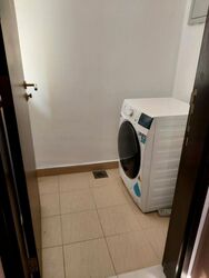Mount Sophia Suites (D9), Apartment #458889801